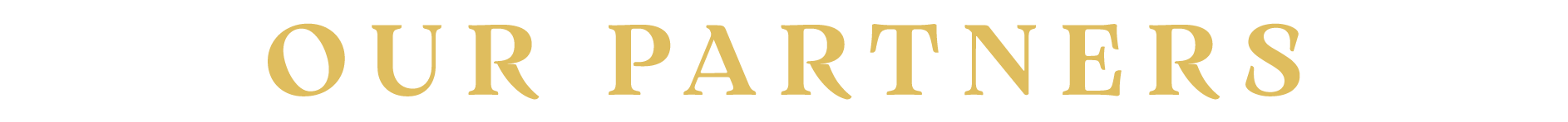 OUR PARTNERS 
